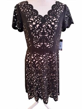 Focus by Shani Black/Cream Laser-Cut Short Sleeve Fit & Flare Dress 6